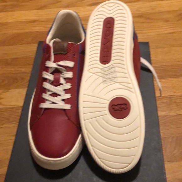 COPY - Don’t want them anymore - Picture 2 of 5